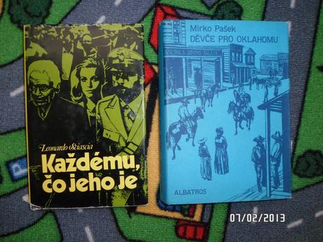 Slovenske a ceske romany,