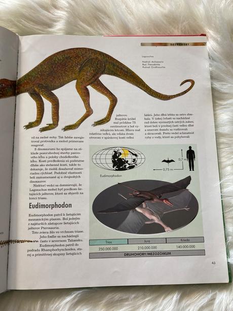 Dinosaury objavy - druhy - vymieranie, 