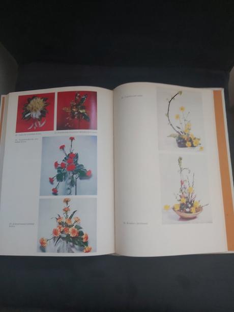 Viazačstvo a aranžovanie kvetín i.vydanie 1979, 