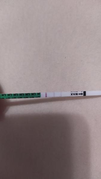 Čo hovoríte na môj ovulačný test?