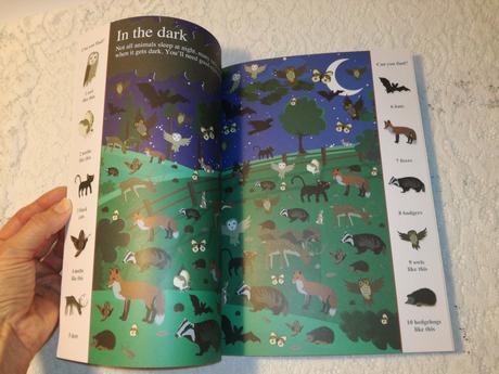 Search and find animals nau22, 