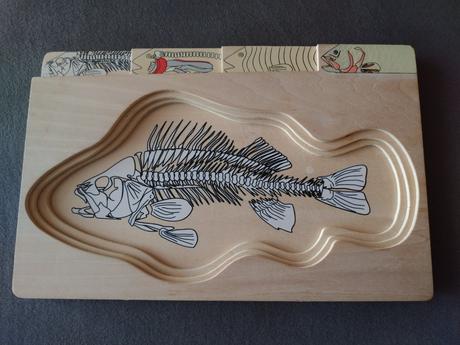 Viacvrstvové drevené anatomické puzzle ryba, 