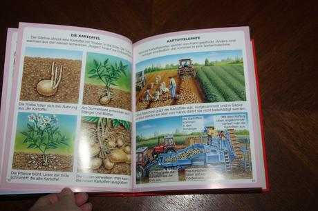 Dein buntes wörterbuch 5 ks, 