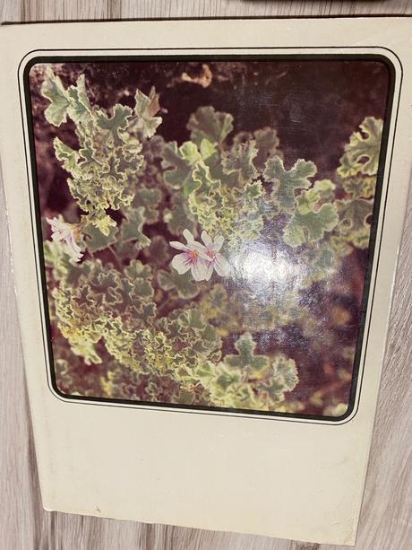 Retro super kniha muškáty,