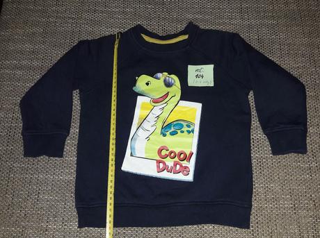 Dino mikina, pepco,104