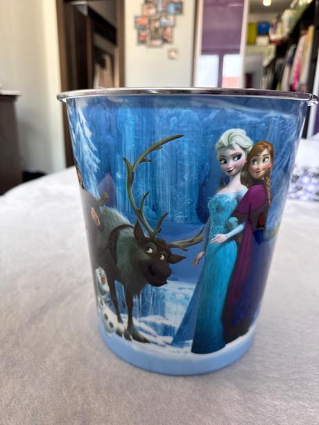 Kôš na smeti frozen, 