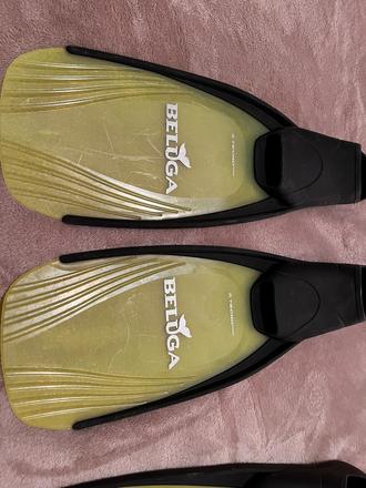 Plutvy 27-30 belluga,