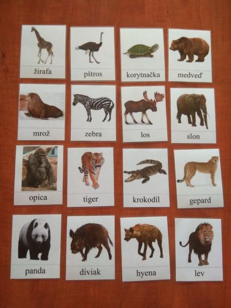 Kartičky zvieratá,