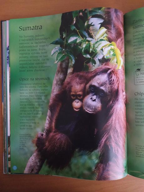 Svet zvierat (2005), 