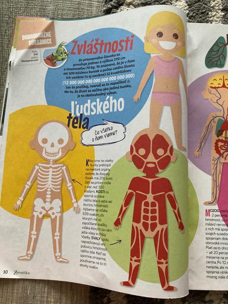 Časopis zornička 5ks, 