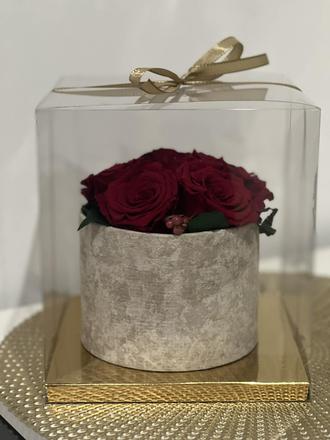 Stabilizované ruže v boxe,