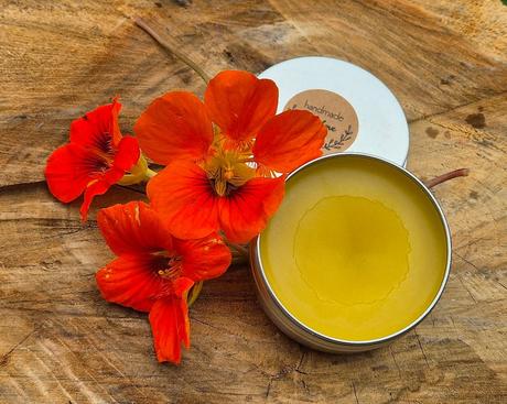 Mastička kapucínka,