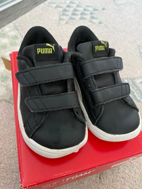 Botasky puma, puma,24