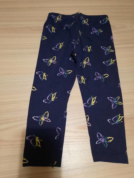 Leginy motyle 92, 92