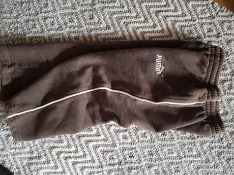 Funkčné rýchloschnúce  tepláky puma 2t (92-98), puma,92