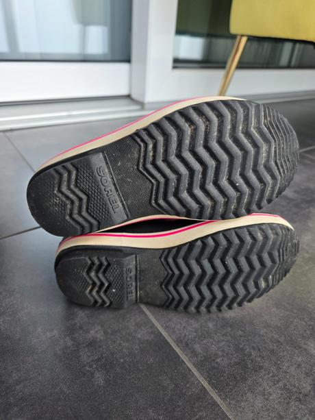 Snehule sorel, sorel,34