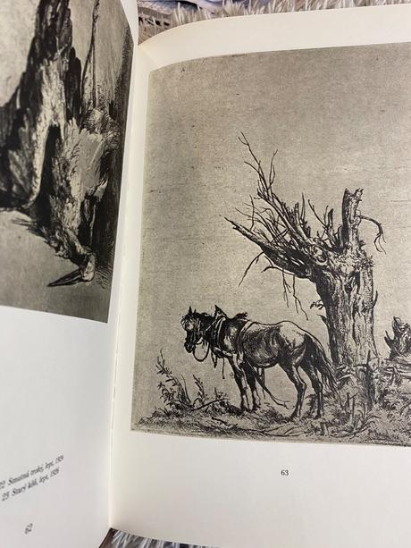 Stará retro kniha jaroslav vodrážka výber z diela,