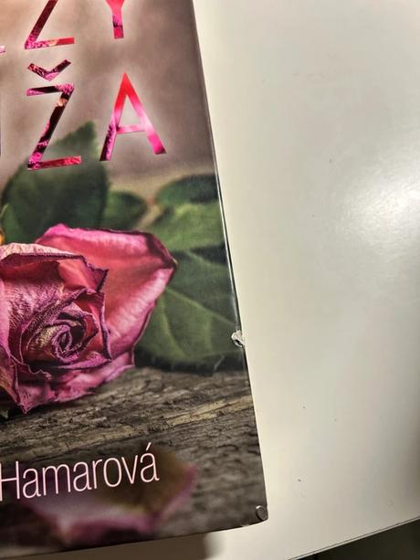 Kniha slzy muža,