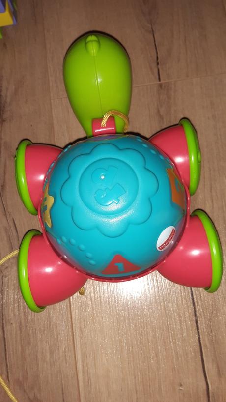 Korytnačka a kocka, 