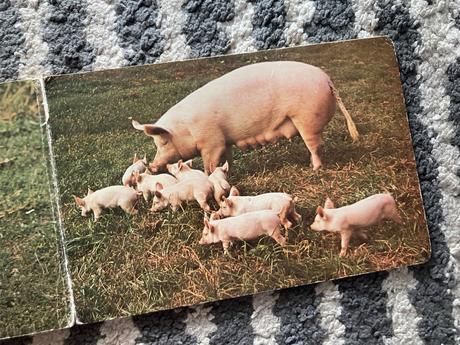 Za vrátkami za plotom/leporelo-prvé vyd.1985,