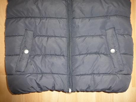 Vesta dognose, dognose,152