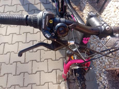 Dievčensky bicykel, 24