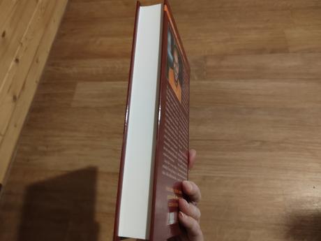 Blazenost vnitrniho ohne - kniha, 