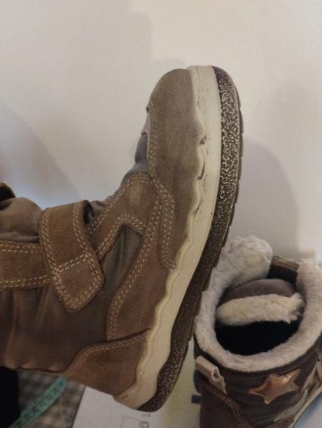 Snehule primigi, primigi,28