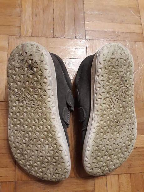 Celoročky jonap, jonap,28