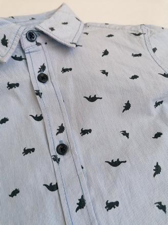 Košeľa s potlačou dinosaurov, 128