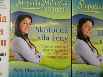 2xslepačia polievka pre dušu, 