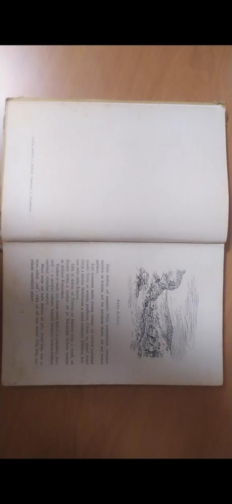 Janko a danko - tereza vansová, 