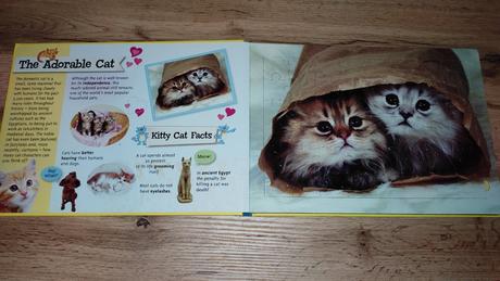 Mačiatka velká kniha s puzzle,