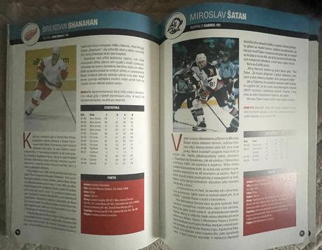 Hvězdy nhl - česi +slováci.,