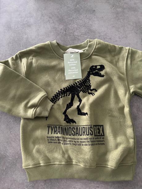 Mikina tyranosaurus, h&m,116