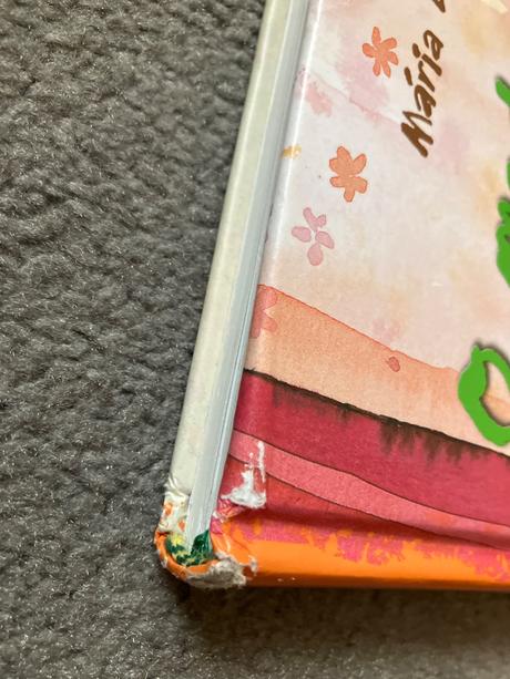 O medvedikovi bez mena, 