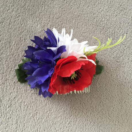 Hrebienok do vlasov trikolóra, 