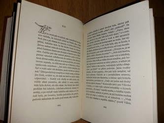 Kniha babička od b. němcovej, 