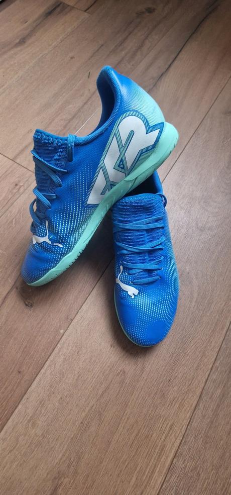 Halovky puma, puma,38