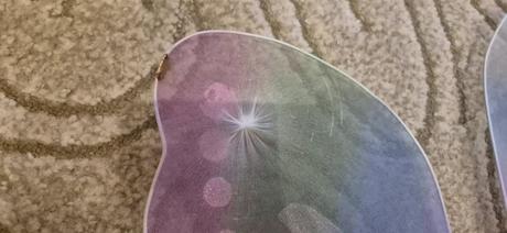 Krídla s čelenkou, 