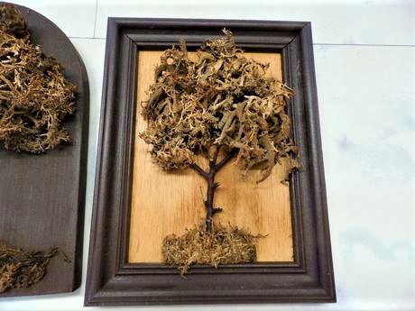 Naturálne obrázky 2 ks, 