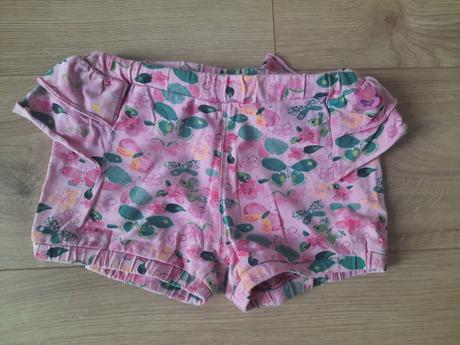 Kratasky, coccodrillo,116