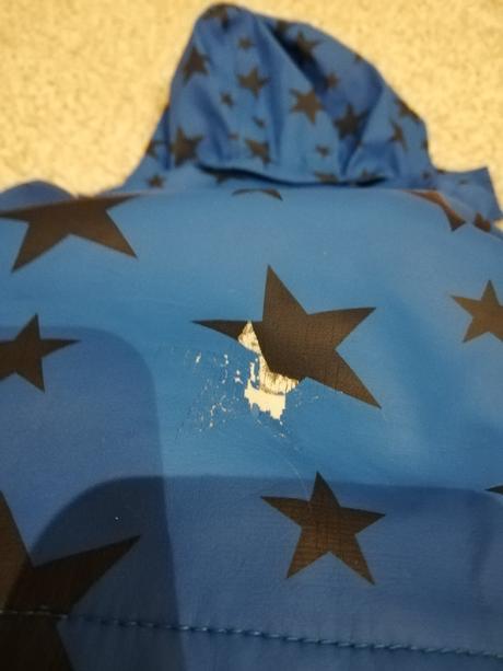 Bunda modrá, tcm,92