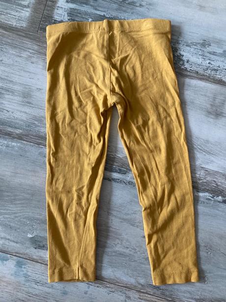 Legíny, palomino,98