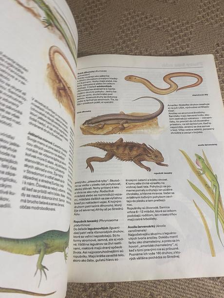 Pestrá príroda luděk j. luděk jindřich dobroruka,,