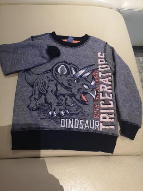Mikina s dinosaurom, dopodopo,110