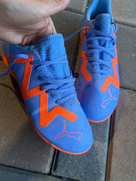 Halovky puma, puma,37