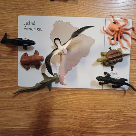 Zvieratá kontinentov, 