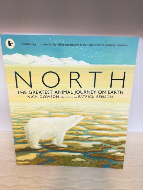 Nick dowson north  nsp21, 