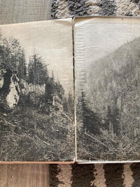 Sivá vlčica jaroslav holeček (1968), 